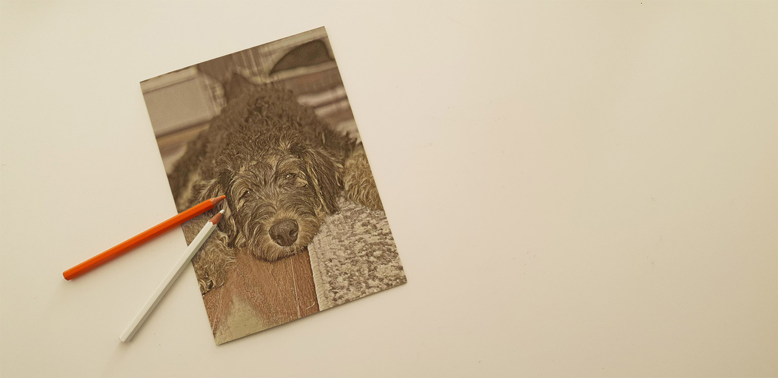 gift card of a dog with two pencils