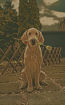 portrait of a dog holding a tulip in its mouth